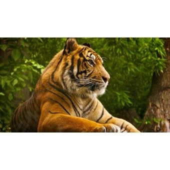 MALETA MAQUIAGEM JASMYNE - H & G