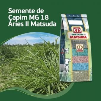 Semente De Capim Mg18 Áries Il Matsuda - 10kg
