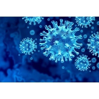 MULTIUSO CORDOBA MEL/PEROLA - PRIMUS