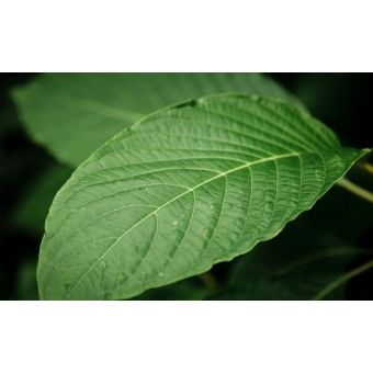 PRODUTO TESTE 13/12/2021-2